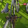 Junior mountain Bike rock rider Image 2