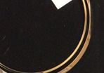 Authenthic Michael Kors Gold Choker Necklace