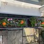 Grey JC & Co Rectangular Trough Flower Pots- 2 available Image 6