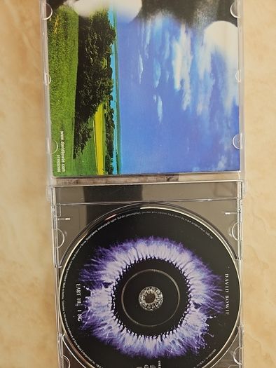 Bowie CD  - Earthling