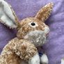 Dan Dee Plush Bunny Soft Toy Image 2
