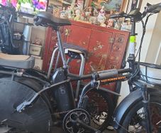 eBikes Rad Power Bikes Mini4 Cargo Famaly Bikes