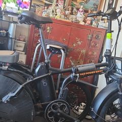 eBikes Rad Power Bikes Mini4 Cargo Famaly Bikes