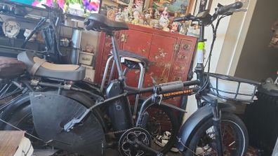 eBikes Rad Power Bikes Mini4 Cargo Famaly Bikes