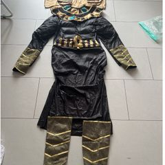 Men's Halloween Costume