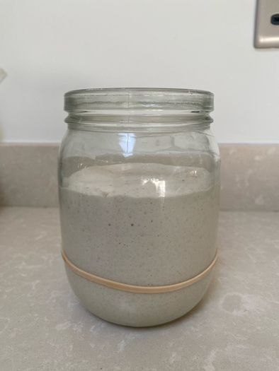Sourdough starter Organic