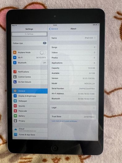 Ipad mini