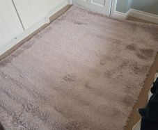 Kukoon Rug