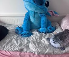 Big stich