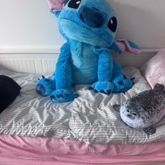 Big stich
