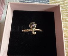 Pandora ring