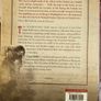 Strokestown and the Great Irish famine - Ciaran Reilly Image 2
