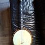 Clifford Essex Plectrum Banjo Image 6