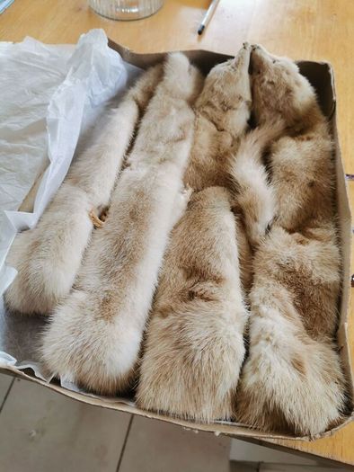 A Pair of Mink Fur Stoles in good condition