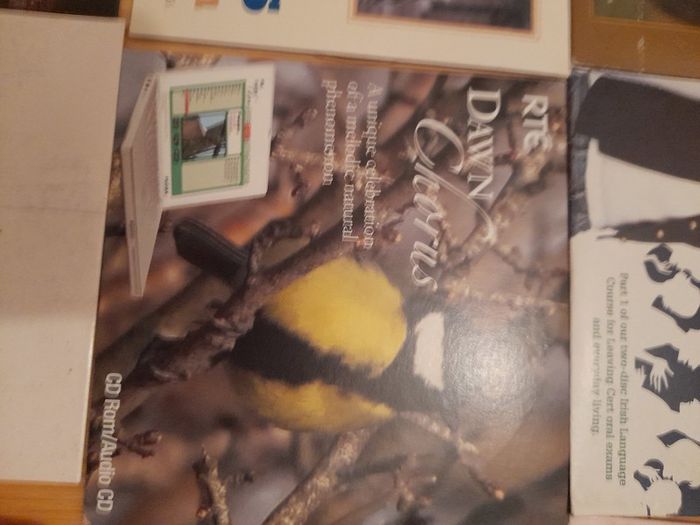 Cds