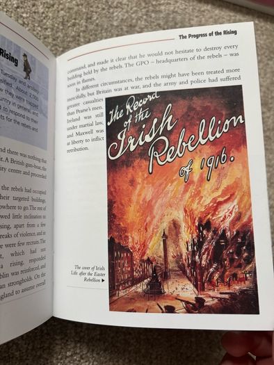 Irish History: From Prehistoric Times to the Present Day by Seamas Mac Annaidh