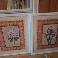 framed botanical prints/mathcing wall pictures
