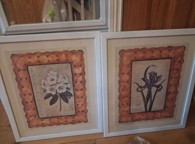 framed botanical prints/mathcing wall pictures