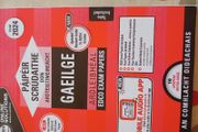 Exam Papers Leaving Cert Gaeilge Irish Higher Level