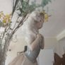 Nao Lladro. Image 8