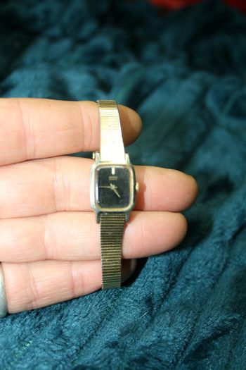 Ladies Seiko Gold Tone Quartz Watch (fresh battery works fine)