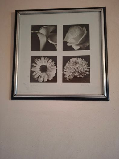 Pictures