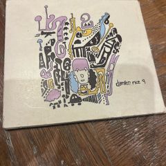 Damien Rice 9