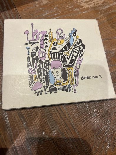 Damien Rice 9