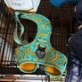dog crate Image 9