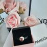 New pandora charm Image 3
