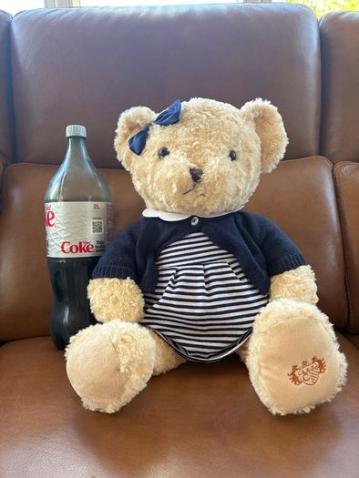 Paul Costello Teddy Bear