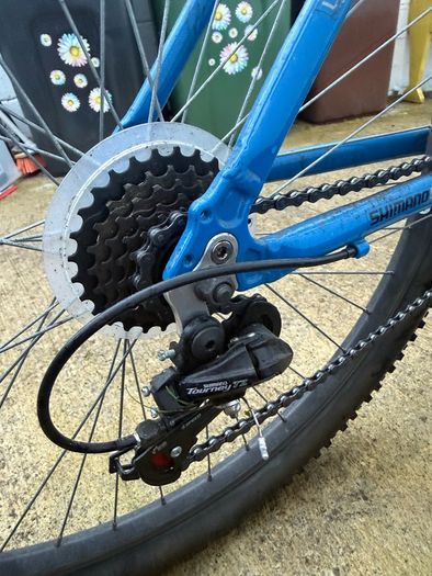 Adult Bike