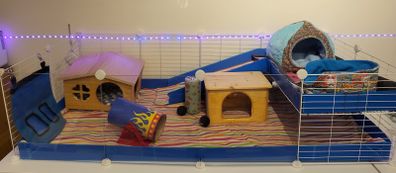 Guinea pig cage - full set up