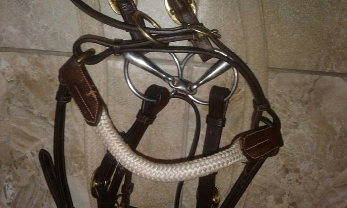 Bridle /bitless
