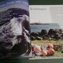 St Colman's Cemetery Inishbofin Island Galway Ireland Irish local history Image 3