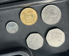 Irish Coins