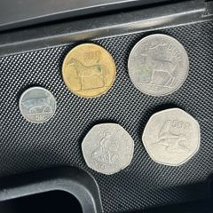 Irish Coins