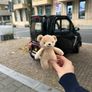 brown teddy bear Image 2