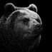 Bear114