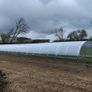 Strong ARC Polycarbonate polytunnel greenhouse Image 7