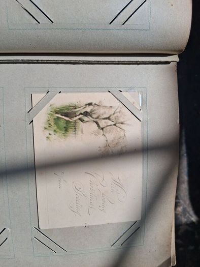 Mega Art Nouveau Postcard Album (197 Pieces)