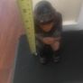 Fisherman- Solid Wood Hand Carving of Fisherman smoking a pipe. In mint condition. Approximately 50 years old Image 4