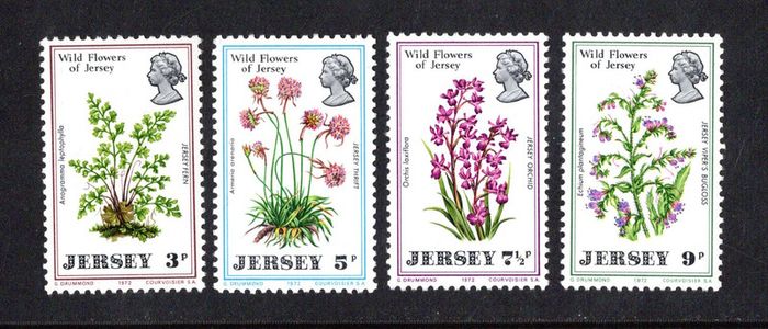 1972 Jersey Wild Flowers of Jersey Commemorative Stamps Mint Never Hinged (MNH)