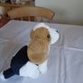 Cuddly Dog for Sale Image 2