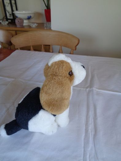 Cuddly Dog for Sale