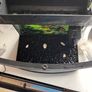 Fish tank Image 7