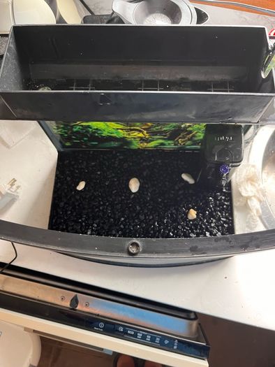 Fish tank