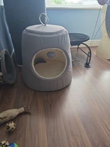 cat bed