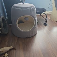 cat bed
