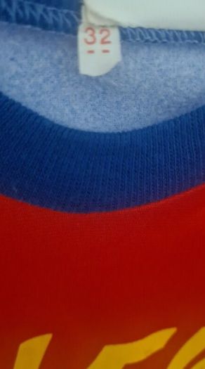 Raleigh Burner Jersey